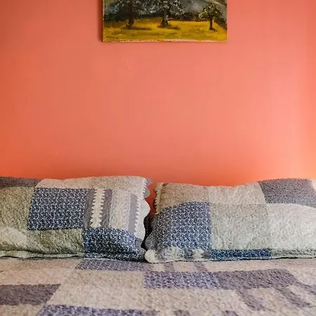 Lovely Flat Of Apartment